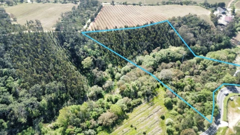 Terreno para Venda em Vidais