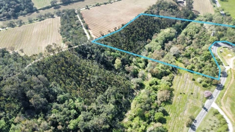 Terreno para Venda em Vidais