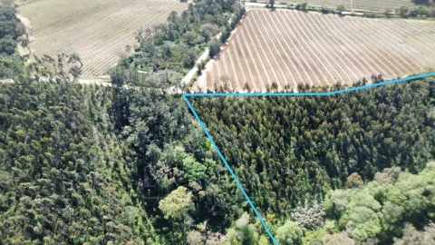 Terreno para Venda em Vidais