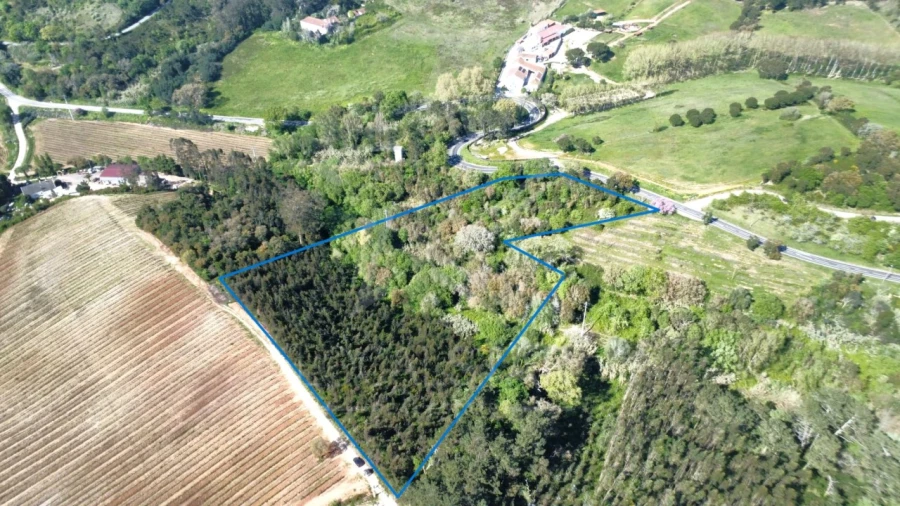 Terreno para Venda em Vidais Foto 5