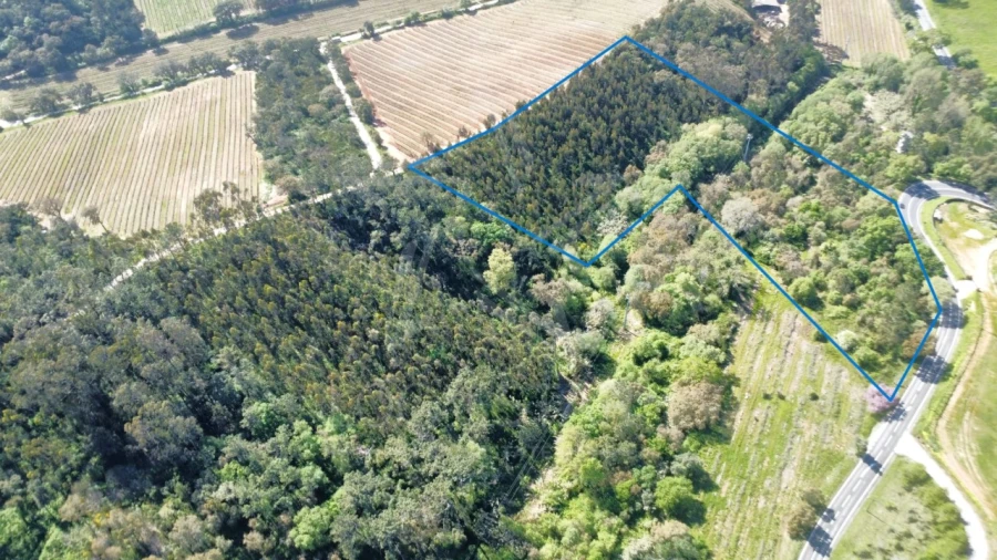 Terreno para Venda em Vidais Foto 6