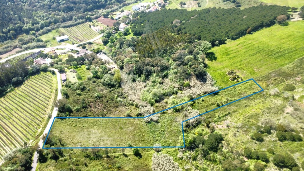 Terreno para Venda em Vidais Foto 3