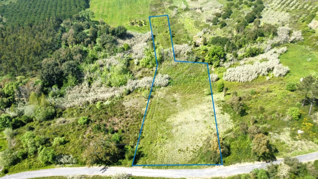 Terreno para Venda em Vidais Foto 5