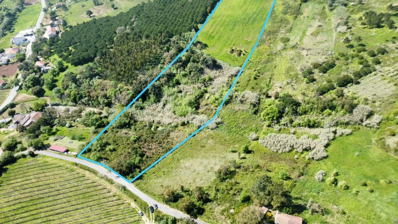 Terreno para Venda em Vidais Foto 2