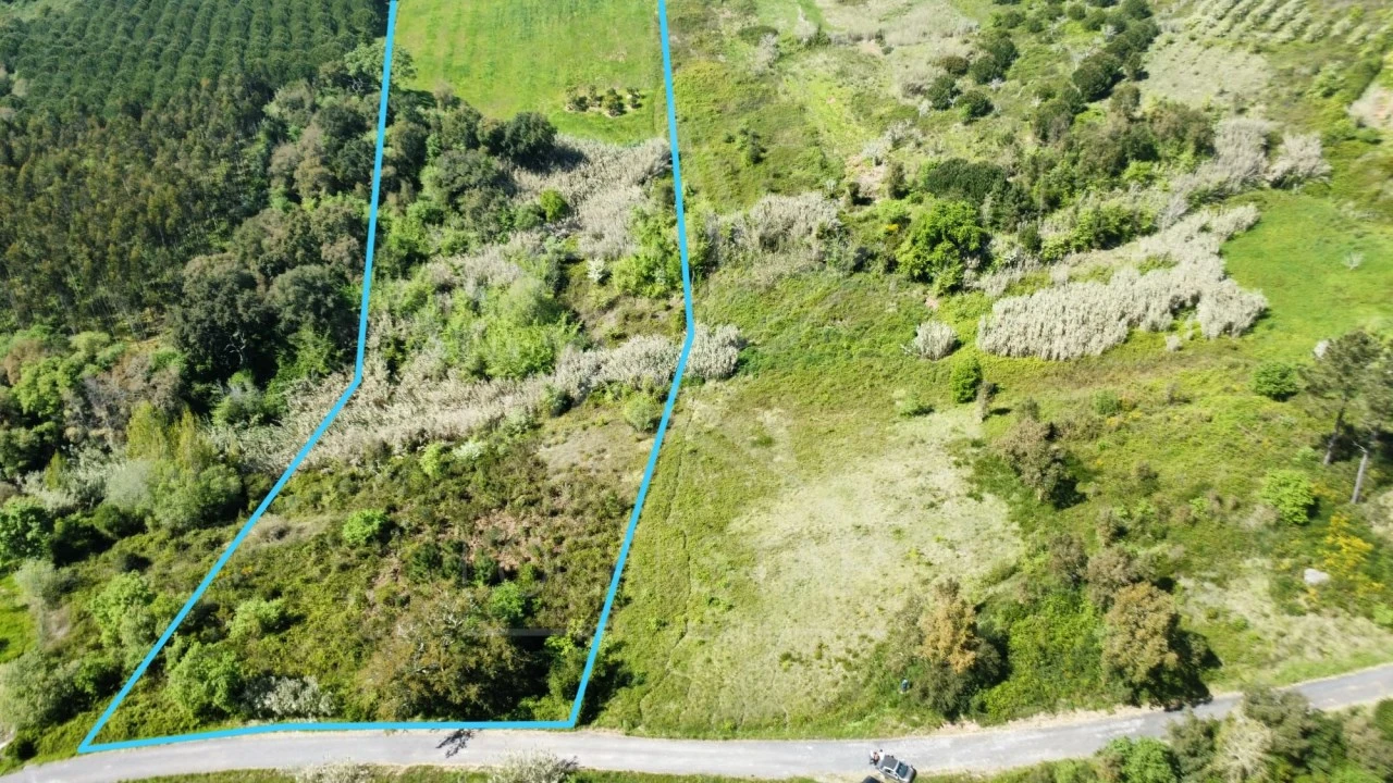 Terreno para Venda em Vidais Foto 3
