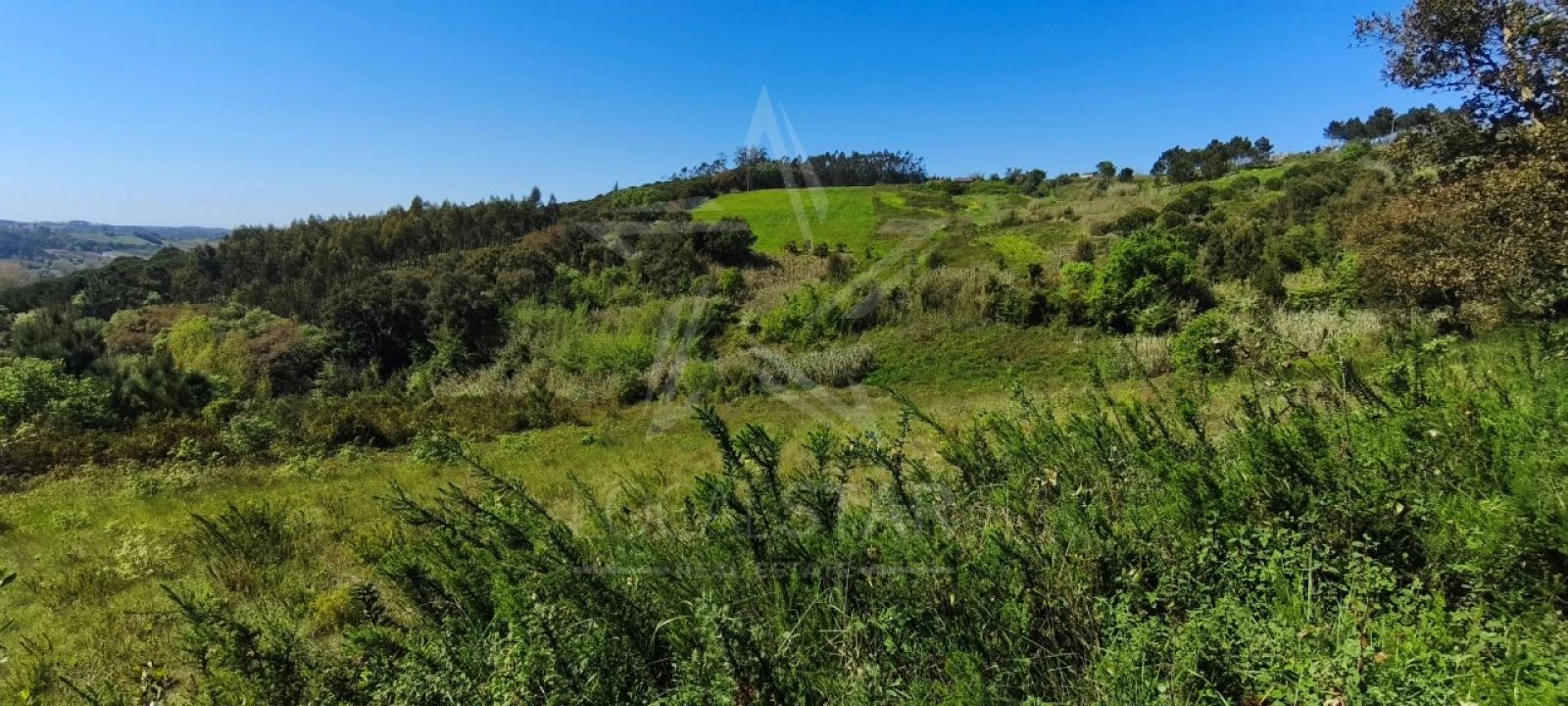 Terreno para Venda em Vidais Foto 10