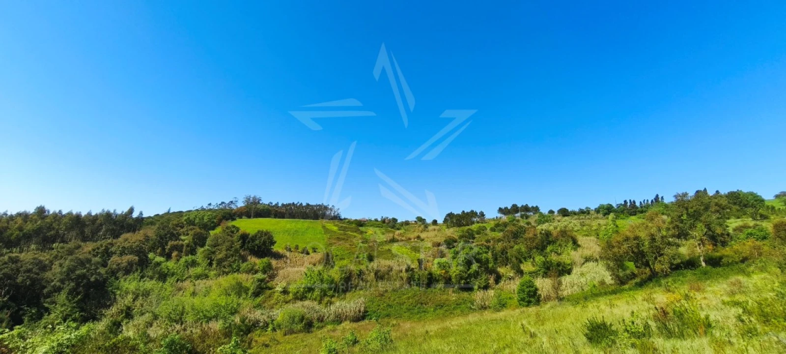 Terreno para Venda em Vidais Foto 12