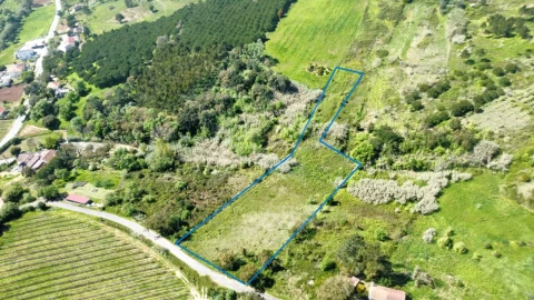 Terreno para Venda em Vidais