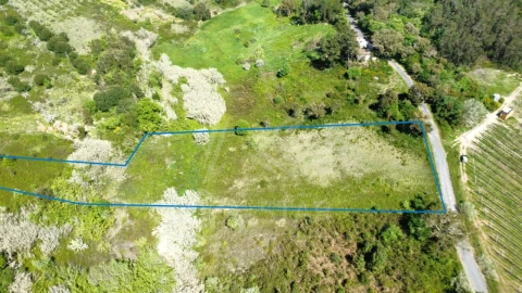 Terreno para Venda em Vidais