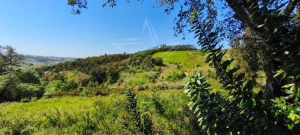 Terreno para Venda em Vidais