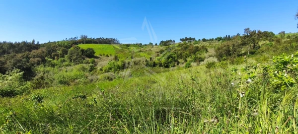 Terreno para Venda em Vidais
