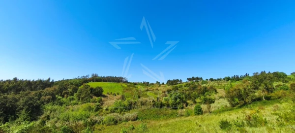Terreno para Venda em Vidais