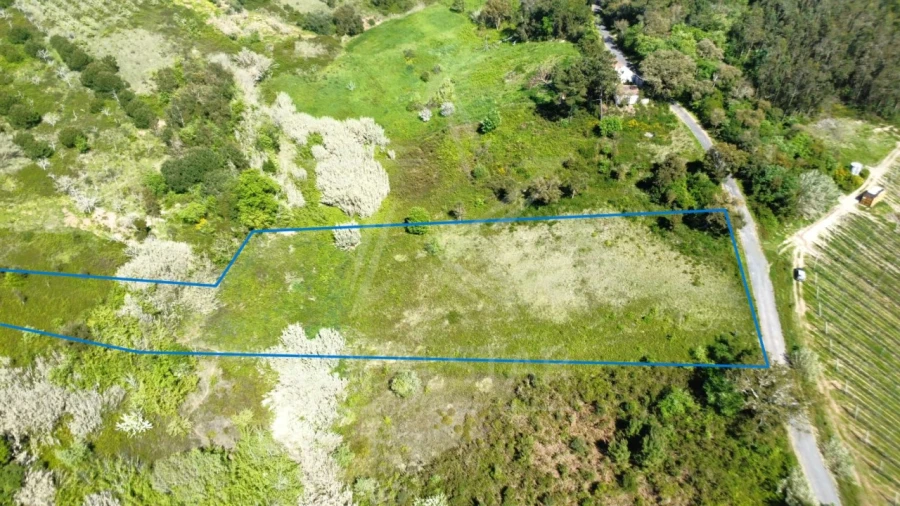 Terreno para Venda em Vidais Foto 6