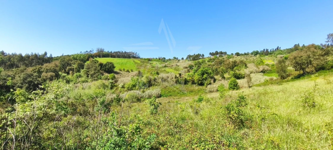Terreno para Venda em Vidais Foto 11