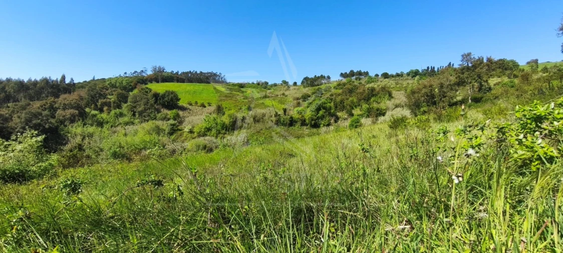 Terreno para Venda em Vidais Foto 11