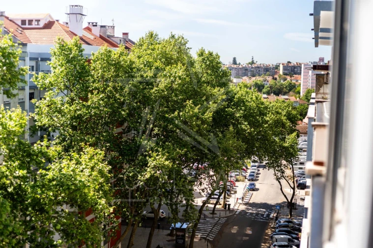 Apartamento T3 para Venda em Benfica Foto 13