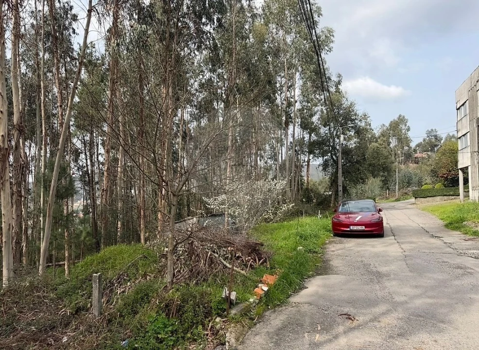 Armazém para Venda em Macieira de Cambra Foto 3
