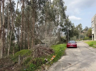 Armazém para Venda em Macieira de Cambra