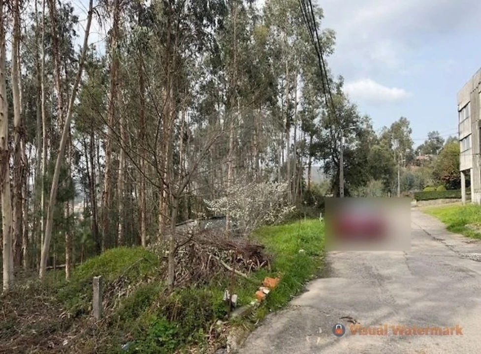 Armazém para Venda em Macieira de Cambra Foto 3
