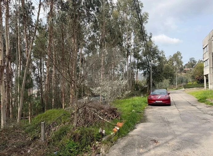 Armazém para Venda em Macieira de Cambra Foto 3
