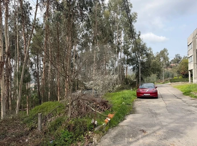 Armazém para Venda em Macieira de Cambra Foto 2