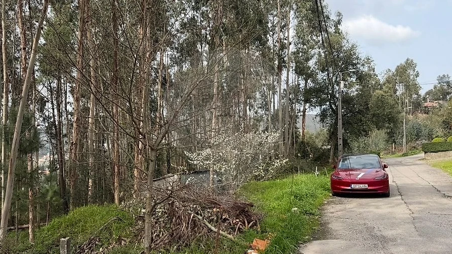 Armazém para Venda em Macieira de Cambra
