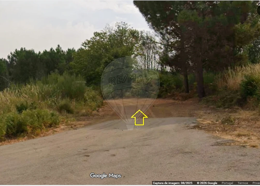 Terreno para Venda em Sabrosa Foto 3