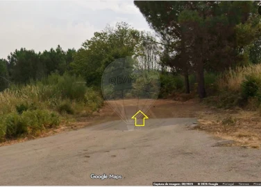 Terreno para Venda em Sabrosa