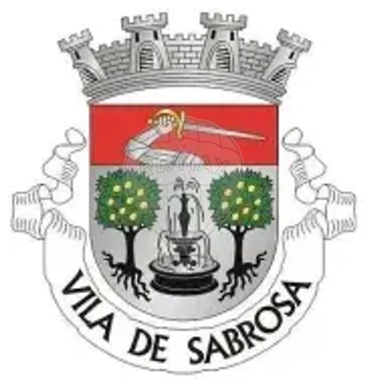 Terreno para Venda em Sabrosa Foto 1