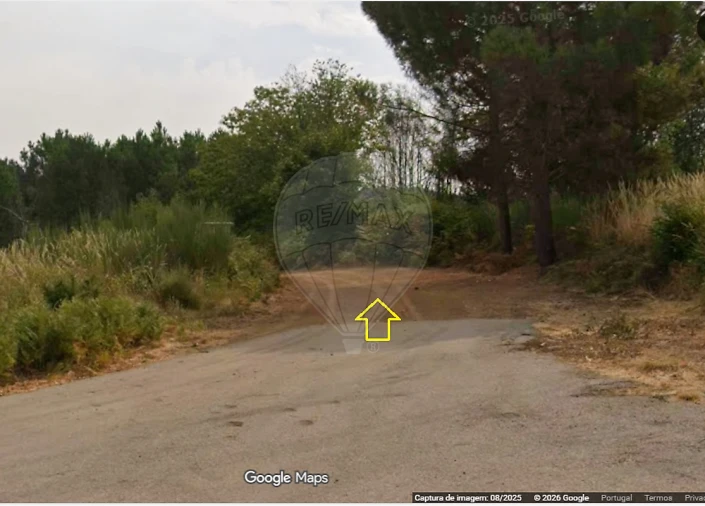 Terreno para Venda em Sabrosa Foto 3