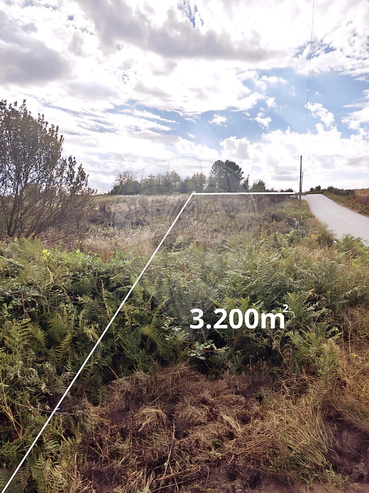 Terreno para Venda em Sabrosa Foto 1