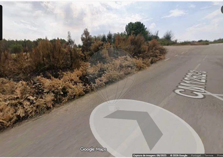 Terreno para Venda em Sabrosa Foto 3