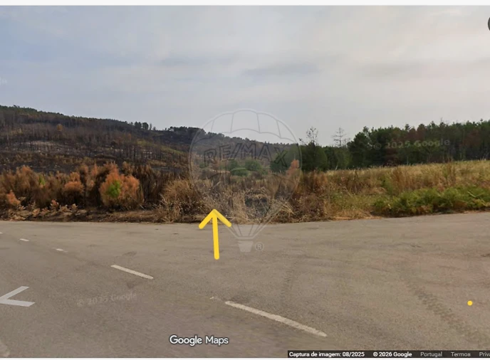 Terreno para Venda em Sabrosa Foto 2
