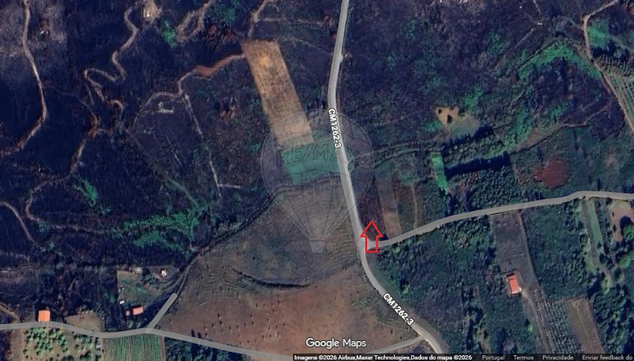 Terreno para Venda em Sabrosa Foto 4