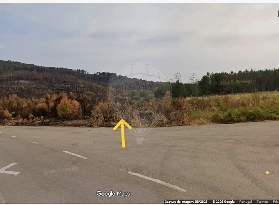 Terreno para Venda em Sabrosa Foto 2