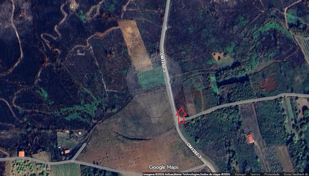 Terreno para Venda em Sabrosa Foto 4