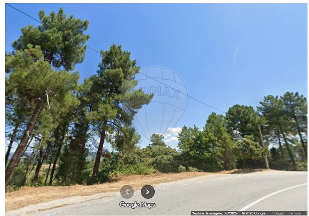 Terreno para Venda em Sabrosa Foto 3