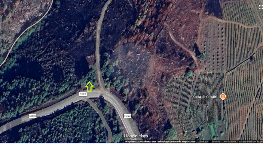 Terreno para Venda em Sabrosa Foto 4