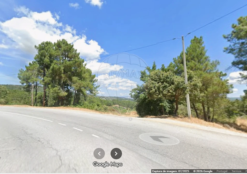 Terreno para Venda em Sabrosa Foto 2