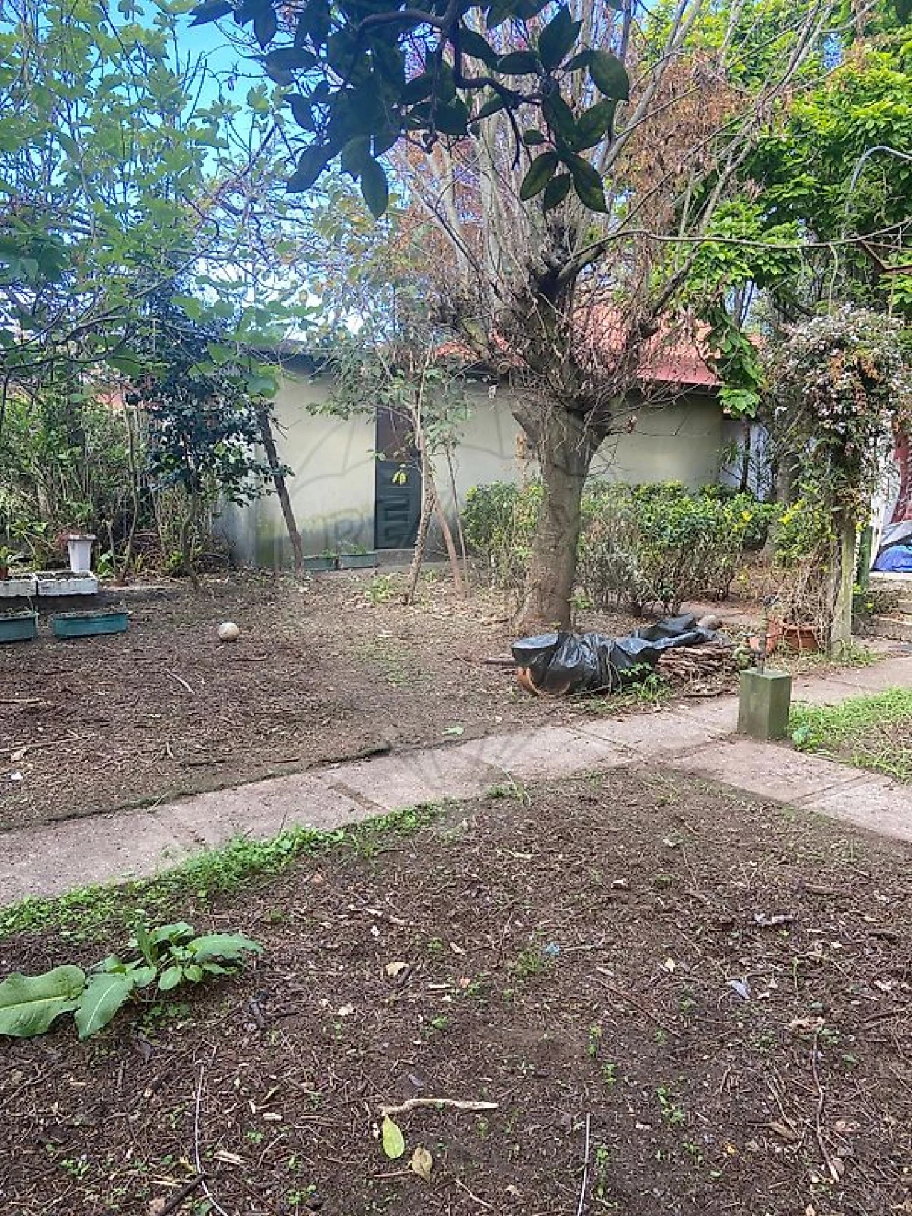 Moradia T4 para Arrendamento em Moreira Foto 4