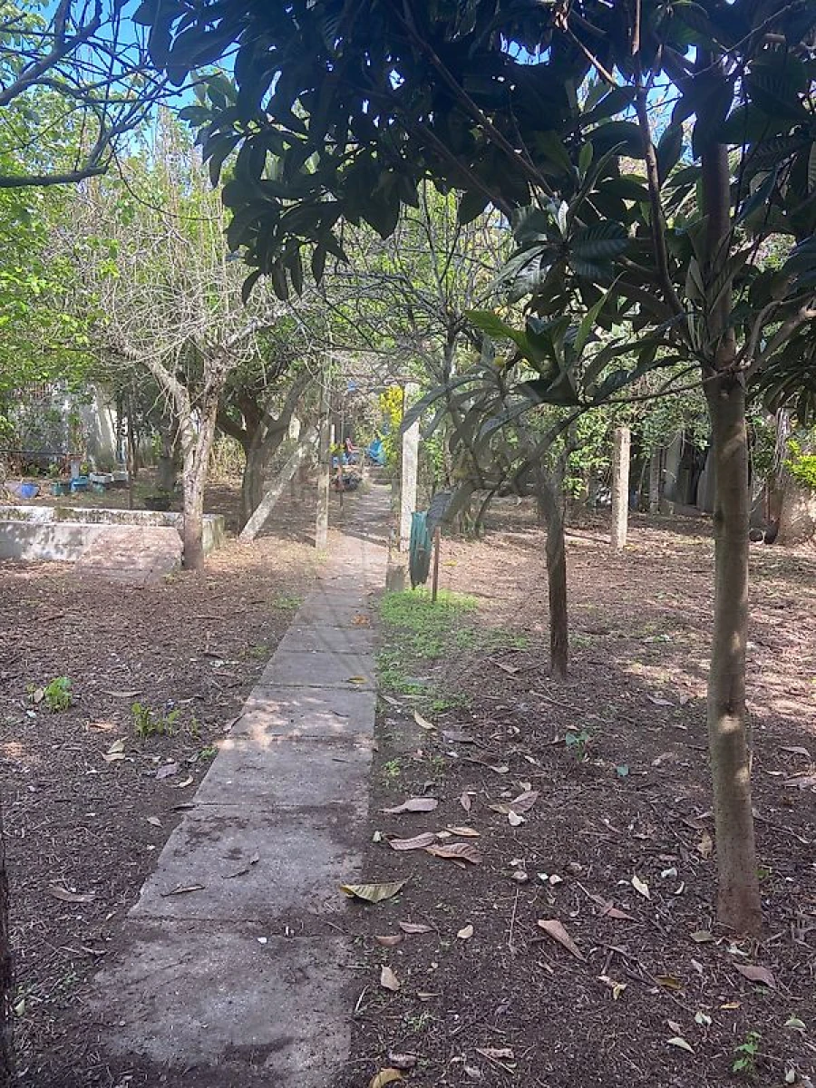 Moradia T4 para Arrendamento em Moreira Foto 2