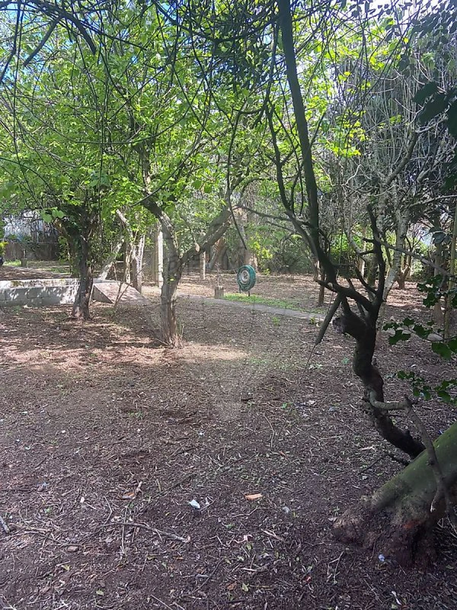 Moradia T4 para Arrendamento em Moreira Foto 3
