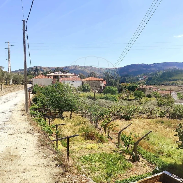 Moradia T2 para Venda em Lamego (Almacave e Sé) Foto 3