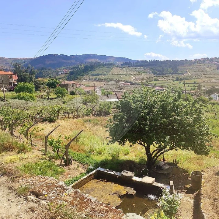 Moradia T2 para Venda em Lamego (Almacave e Sé) Foto 4