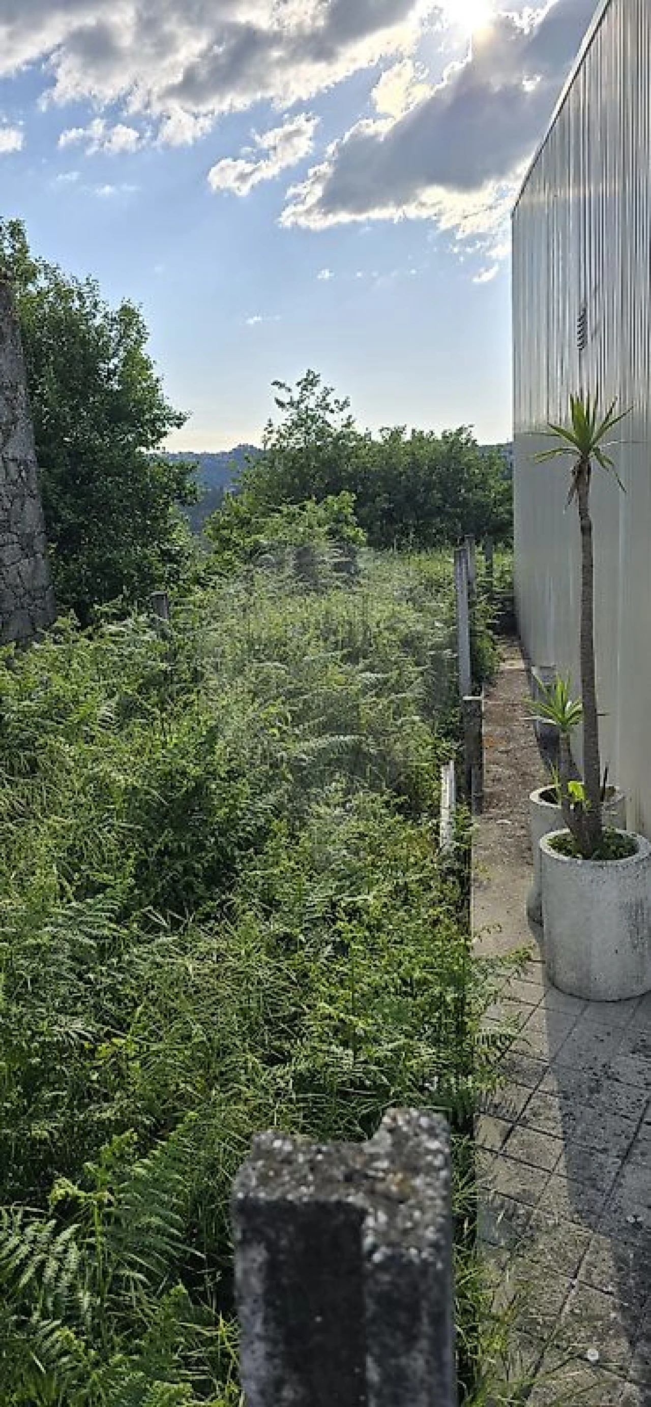 Terreno para Venda em Paredes Foto 4
