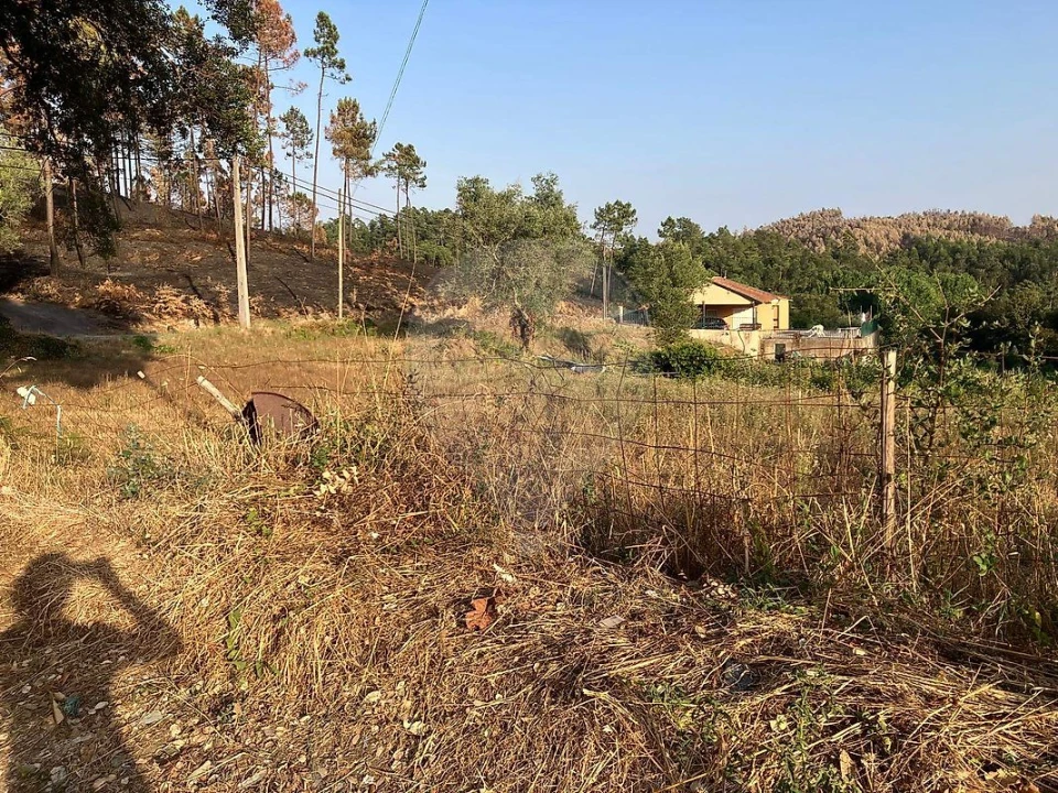 Terreno para Venda em Melres e Medas Foto 4