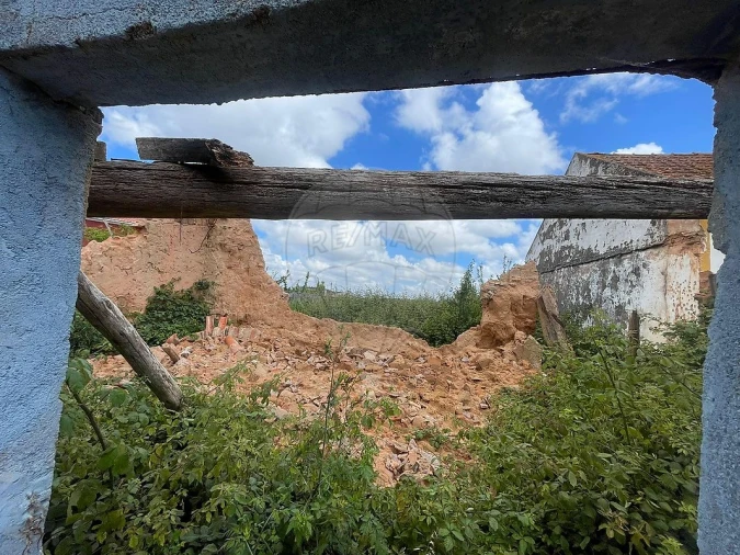 Armazém para Venda em Lamas e Cercal Foto 13