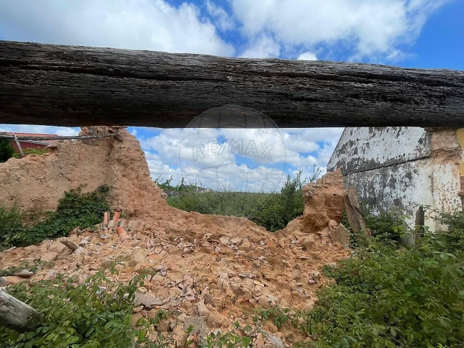 Armazém para Venda em Lamas e Cercal Foto 6