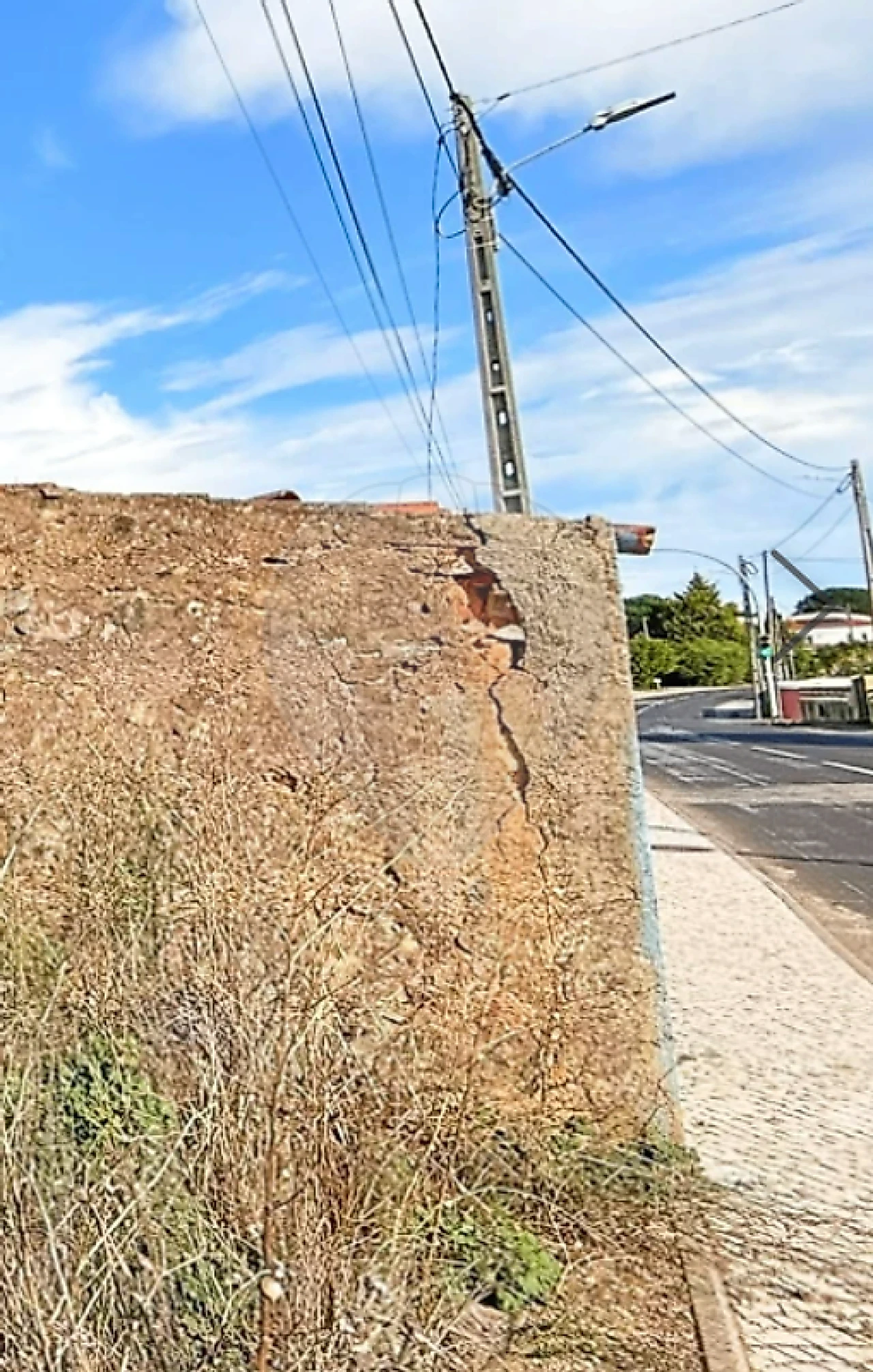 Armazém para Venda em Lamas e Cercal Foto 3