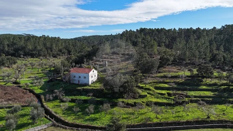 Moradia T2 para Venda em Cumeada e Marmeleiro